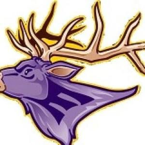 Meet your Posher, Skye